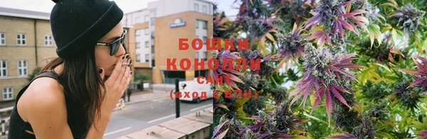 ГАЛЛЮЦИНОГЕННЫЕ ГРИБЫ Кукмор