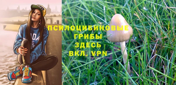 соль ск Ветлуга