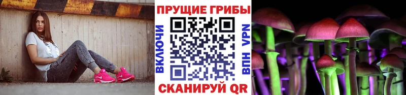 наркошоп  Нерчинск  гидра ONION  Псилоцибиновые грибы GOLDEN TEACHER 